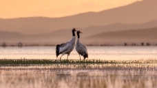 ����ʱ��