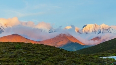 �������