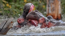 ��������������