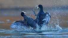 ����������