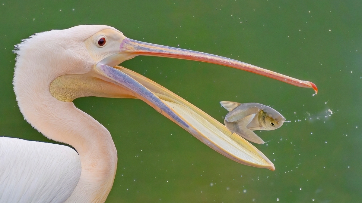 ����---�п����Ϸ