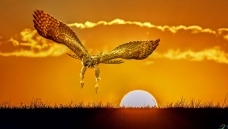 ������;--����ף�ؿ��Ű�¡�ؿ��棡