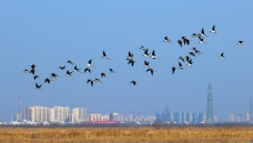 ��Ǩ������