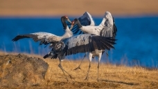 ˮ��������