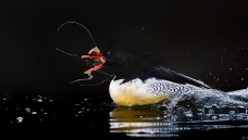 ף�����꣡