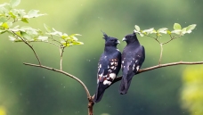 ����һ�� �Ҹ�һ��