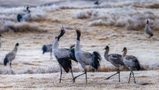 �ھ���һ��