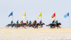 �����ӱ�