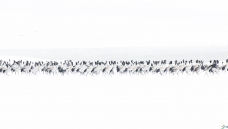 ���ھ��׷��ӡ�