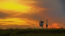 ��������������