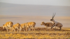 ������--���С�