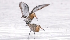 ����ʱ��