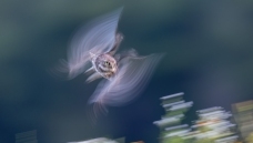 ��۵糸�������Ƹ�С�^