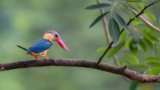 �������