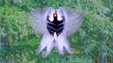 �����ӹ�2