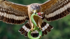 ���͵��ߵ�