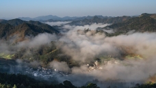 ����ɽ��