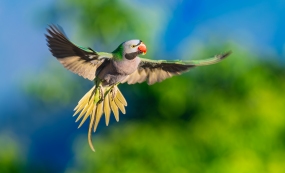 ���������ĵ�������