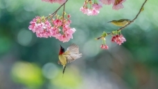 �����ʣ���˫��