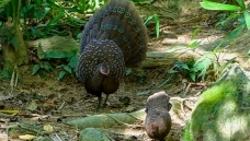 ���Ͽ�ȸ��