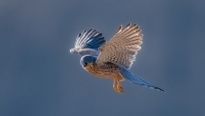 ���������������