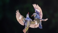 �������