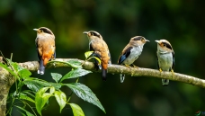 �ּ������