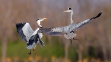 ����̽��