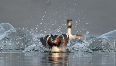 �˷�����