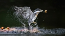 �������