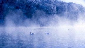 �����е����