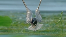 �ս�