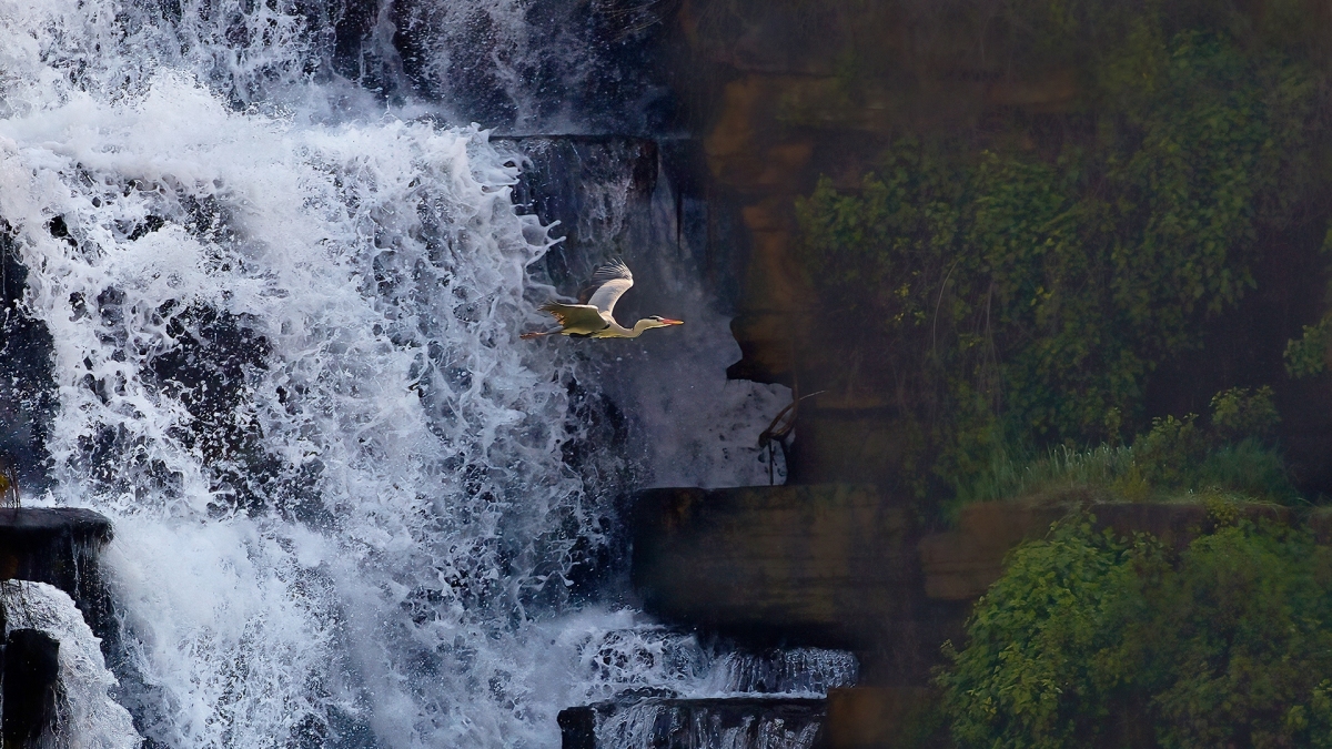 һ������