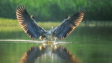 �����̽�