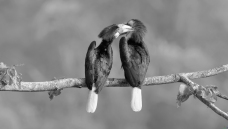 ����֮��