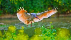 �����q.�����䷲�䡷