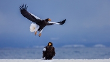 ���а���