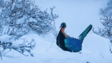 ��ԭ��β����