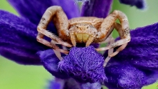 з��