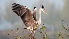 ���״���