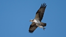 �ҵ�����