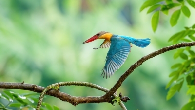 �������