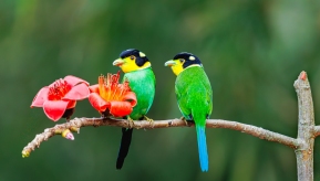 ����������