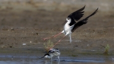 �������