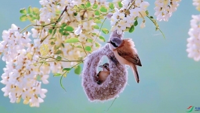 �л���ȸ����æ