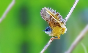 ��ƽ���ģ���׷���ߡ����ҵĿ��������