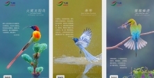 关于征集中国鸟类日历摄影作品的通知