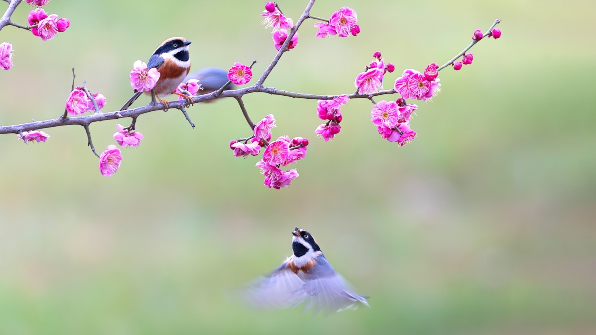 �й��������꼪�飡ף������ʦ��������֣�