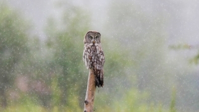 إ�ػ������������³̡����¾�����������