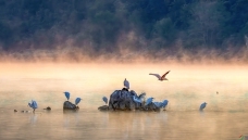 ���ϳ����е����q ---ף����ʦ�ٻ񱾰����